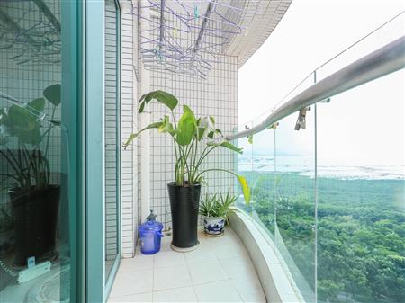 金海湾花园-阳台