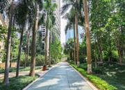 港丽豪园-环境绿化