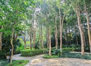 港丽豪园-环境绿化