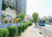 汇港名苑-环境绿化