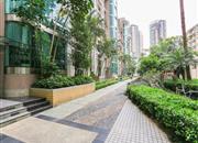 金地海景花园E区-环境绿化