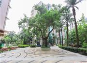 金地海景花园E区-环境绿化