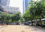 金中环商务大厦-环境绿化