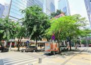 金中环商务大厦-环境绿化