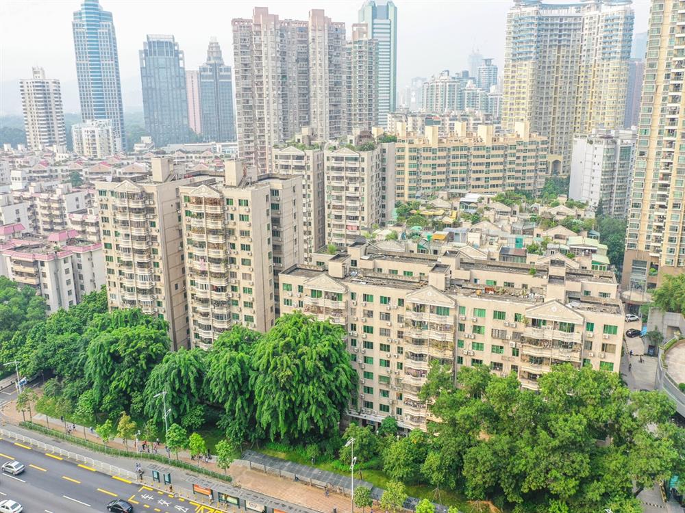 绿景花园