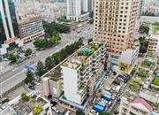 南贸中心-俯瞰图