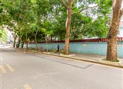 华富大厦-环境绿化