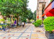 华富大厦-环境绿化