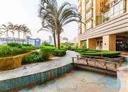 缔梦园（三期TT国际公寓)-环境绿化