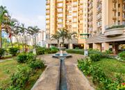 缔梦园（三期TT国际公寓)-环境绿化