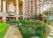 缔梦园（三期TT国际公寓)-环境绿化