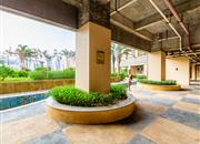 缔梦园（三期TT国际公寓)-环境绿化