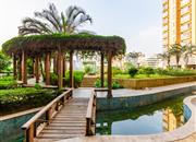 缔梦园（三期TT国际公寓)-环境绿化