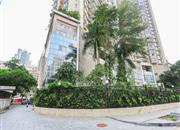 风华盛世-环境绿化