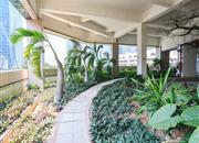 风华盛世-环境绿化