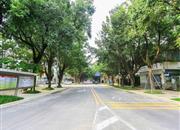 风华盛世-环境绿化