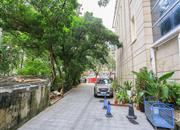 风华盛世-环境绿化