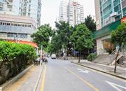 中深花园-环境绿化