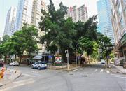 中深花园-环境绿化