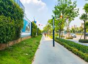 卓越前海一号-环境绿化