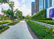 卓越前海一号-环境绿化