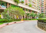 翡翠名园-环境绿化