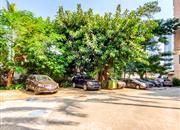 翡翠名园-环境绿化