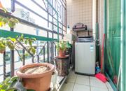 新港鸿花园-阳台