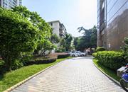 万科彩园-环境绿化