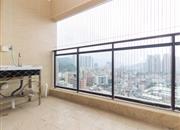 合正丹郡(丹郡花园)-阳台