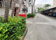 弘雅花园（一期）-环境绿化