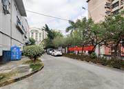 弘雅花园（一期）-环境绿化