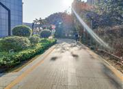 深业U中心-环境绿化