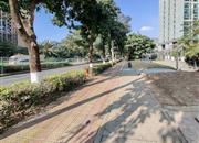 深业U中心-环境绿化