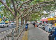 风尚时代-环境绿化