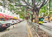 风尚时代-环境绿化