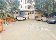 风尚时代-环境绿化