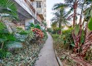 旭仕达名苑-环境绿化