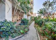 旭仕达名苑-环境绿化