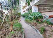 旭仕达名苑-环境绿化