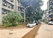 百合苑-环境绿化