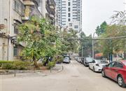 百合苑-环境绿化