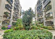 百合苑-环境绿化