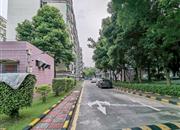 创业一村-环境绿化