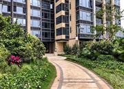 康达尔山海上园(二期)-环境绿化