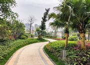 康达尔山海上园(二期)-环境绿化