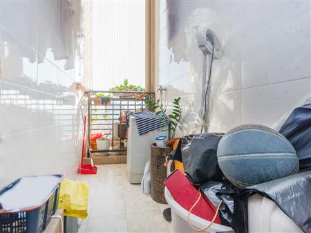 流塘阳光花园-阳台