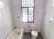 土洋御海湾山庄-卫生间