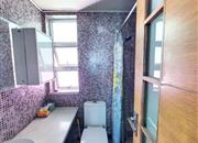 桃源村（二期）-卫生间