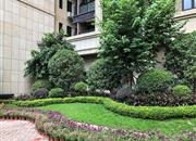 华丰前海湾（二期）-环境绿化